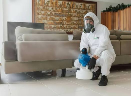 Mould Removal